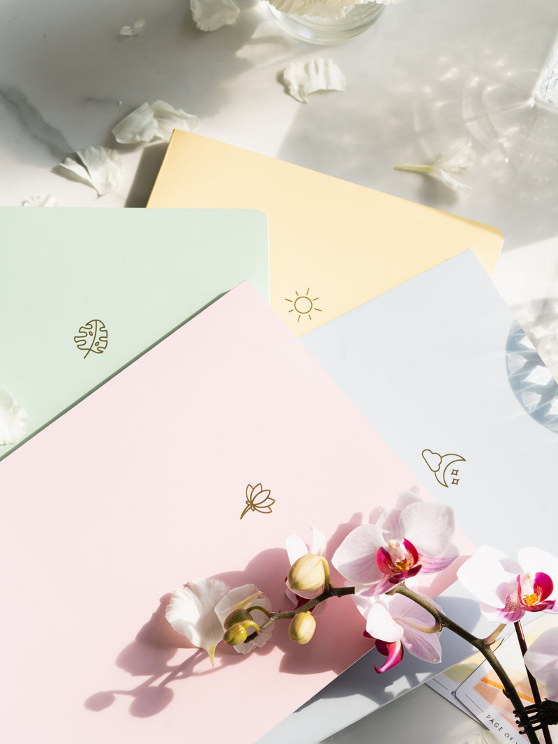 pink, green, blue, and yellow notebooks stacked unevenly on each other, next to white flower petals, with pink orchid flower on top